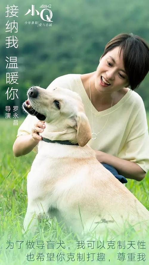 代办仿真医生资格证